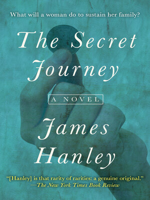 cover image of The Secret Journey
